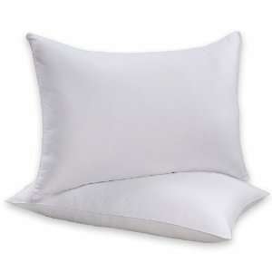  Beautyrest Allergen Barrier Pillow 2pk White