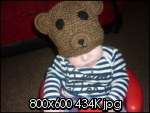 Lovingly hand knitted BABY animal beanie wool hats; Panda, Bear 