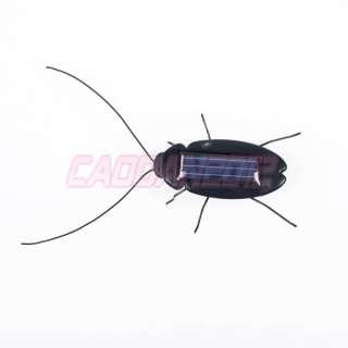 New Solar Power Energy Cockroach Fun Gadget In Office School Gift 