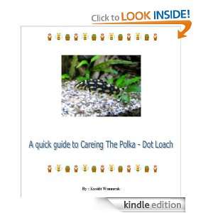 quick guide to Careing The Polka   Dot Loach Kasidit Wannurak 