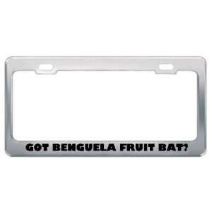 Got Benguela Fruit Bat? Animals Pets Metal License Plate Frame Holder 