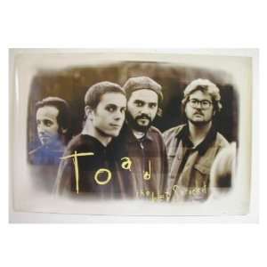  Toad The Wet Sprocket Poster 