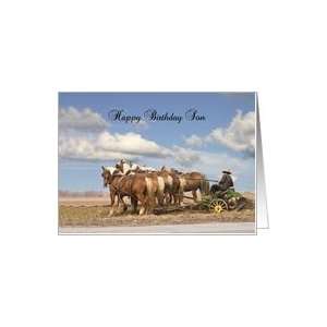  Birthday Son, Amish Farmer Plowing with Horses Card Toys 
