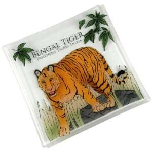  Peggy Karr Glass Endangered Tiger 10 Inch Square Glass 