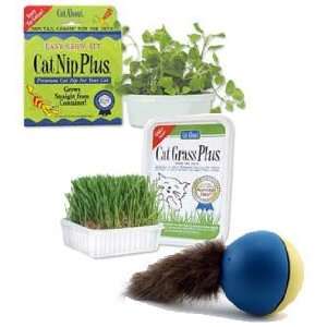  Kittys Garden Cat Toy Package