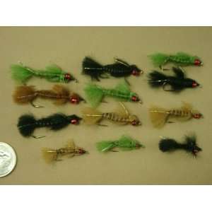  NEW FLIES 12 RUBY EYED FLAT BODIED DRAGON FLY NYMPHS 