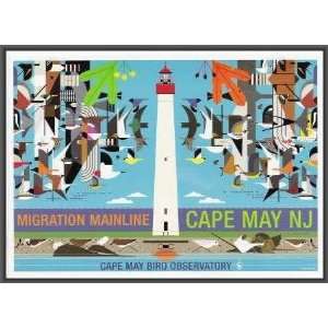   Poster   Migration Mainline Cape May Bird Observatory