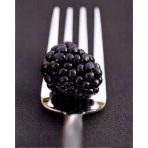 Blackberry & Fork by Martina Schindler 9x12  Kitchen 