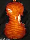 Song new Rare lion neck carve Maestro violin 1676  