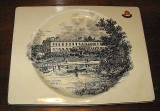 OLD Royal Staffordshire BIARRITZ Ironstone Plate  