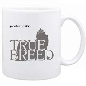  New  Yorkshire Terriers  The True Breed  Mug Dog 