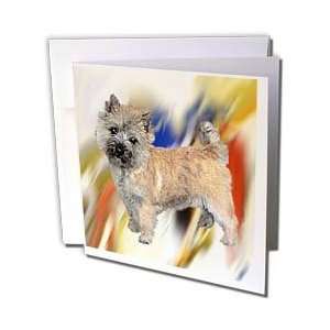 Dogs Cairn Terrier   Cairn Terrier   Greeting Cards 6 Greeting Cards 