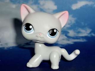   Shop Light Grey Siamese Cat Blue Eyes Pink tipped ears #246 LPS  