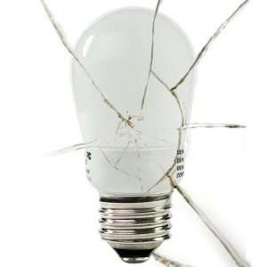  GCP 183   Shatter Resistant   15 Watt Light Bulb CFL   60 