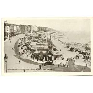   Vintage Postcard The Aquarium and Marine Parade Brighton England UK