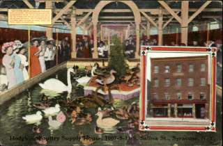 SYRACUSE NY Hodkins Poultry Supply House Duck Pond c1910 Postcard 