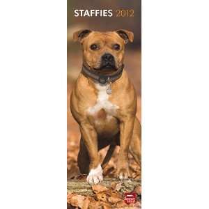  Staffordshire Bull Terriers 2012 Slimline Wall Calendar 