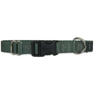  Premier Quick Snap Collar, Large, 1 inch, Color Charcoal 