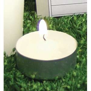  Ivory Citronella Tealight Candles (set of 16)