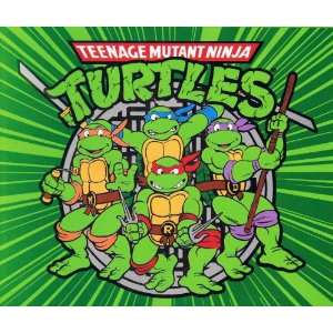 Teenage Mutant Ninja Turtles ~ Group ~ Micro Raschel Fleece Throw 