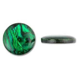  18mm Round Paua Cabochon   Emerald