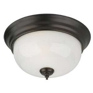  Forecast Calera Collection 11 Wide Ceiling Light Fixture 