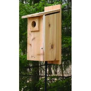  Stovall Basic Rustic Western Mountain Bluebird House SP2HW 