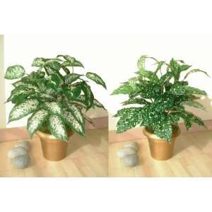  2 x 22 Bushes, Artificial Plants