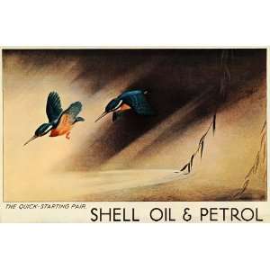  1933 Shell Oil Gas Hummingbirds Tom Purvis Mini Poster 