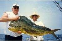 Key West Offshore Fishing Charter. Charterboat Absolut  