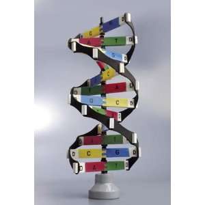 Neo Sci DNA Activity Model  Industrial & Scientific