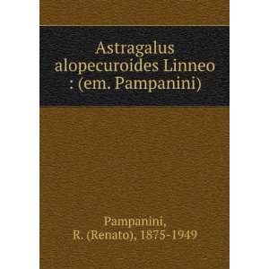   em. Pampanini) R. (Renato), 1875 1949 Pampanini  Books