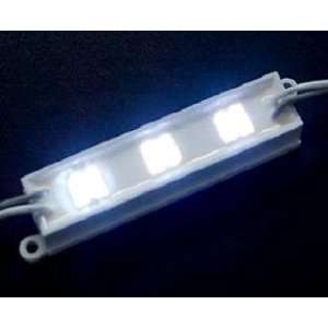  50 pcs 3 LEDs Waterproof Blue Modules, 12V, 0,24W.