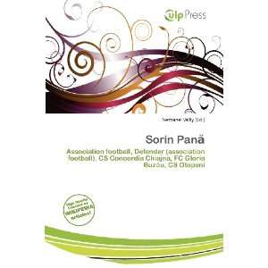  Sorin Pan (9786200529015) Nethanel Willy Books