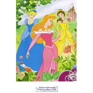  Princess Twin Mink Plush Blanket (Garden Party) 