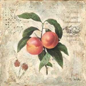 Starlie Sokol Hohne Sokol hohne   Peaches Size 6x6 6x6  