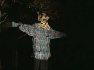 Scarecrow Pneumatic Halloween Haunted Prop  