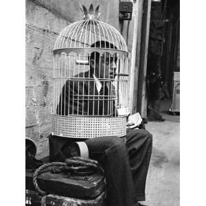 Jerry Lewis Clowning around by Wearing a Birdcage over His Head During 