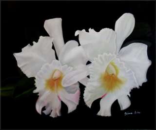 High Q. Hand Painted Oil Painting Two White Orchids, Beautiful  