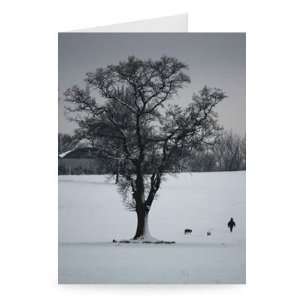 woman and her dogs are pictured in Cofton   Greeting Card (Pack of 