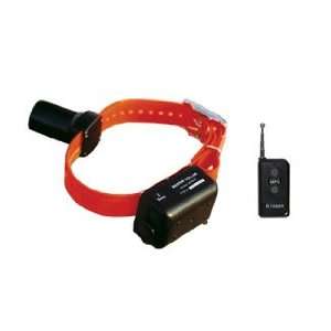  D.T. Systems Baritone Beeper Collar With Remote BTB 809 