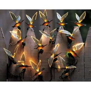    Hummingbird Lights by Collections Etc Patio, Lawn & Garden