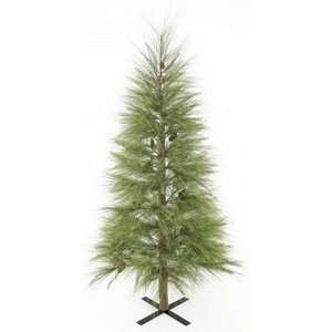  7 Jekll Island Extra Long Needle Christmas Tree