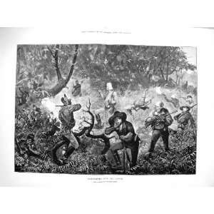   1878 Bush Fighting Kaffirs Battle Forest Shooting War