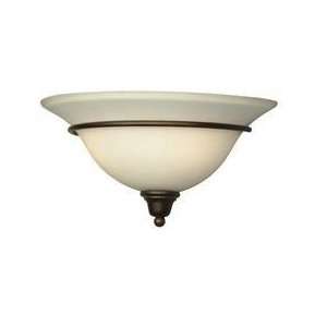    34 Dolan Designs Willow Point Collection lighting