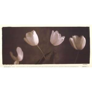  Illuminating Tulips III Poster Print