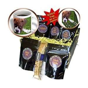 Doreen Erhardt Dogs   Boxer Puppy   Coffee Gift Baskets   Coffee Gift 