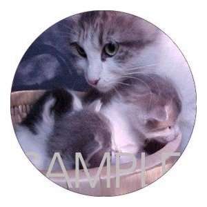   pcs   ROUND   Designer Coasters Cat/Cats   (CRCT 005)