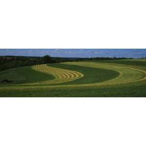  Curving Crops in a Field, Illinois, USA by Panoramic 