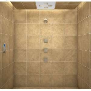   DTV II Custom Shower Package with Portrait Interface DTV Downpour   P